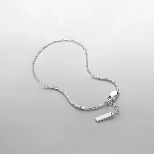 Silver-tone slim snake chain bracelet with lobster clasp and bar tag on a light background